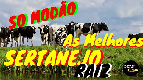 MODAS DE VIOLA SERTANEJO | RAIZ AS MELHORES