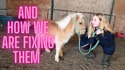 All The Mistakes We Made With Our Foal