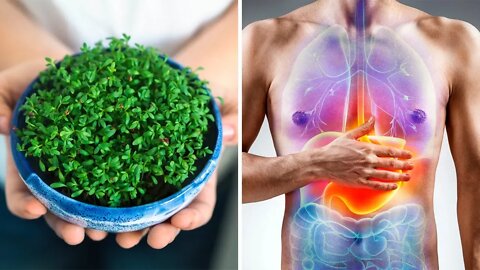 This Is The World's Healthiest Vegetable And You Are Probably NOT Eating