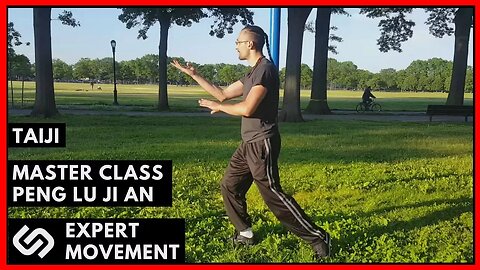 Taiji Chuan Form Mastery For Combat Pt. 2 ☯ Peng Lu Ji An