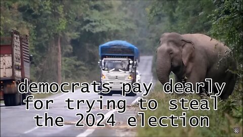 democrats pay dearly for trying to steal the 2024 election