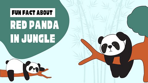 Red Panda Delight: A Tree-Top Feast in the Jungle Wilderness