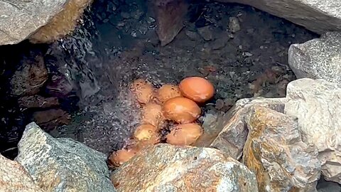Tourist uses ingenuity to boil eggs in natural hot spring in Canada