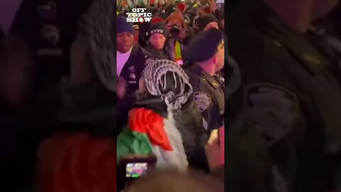 Pro-Palestine Protesters Disrupt NYC Christmas Tree Ceremony at Rockefeller Center