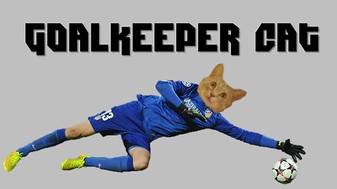 Goalkeeper cat. World Cup Supurr star.