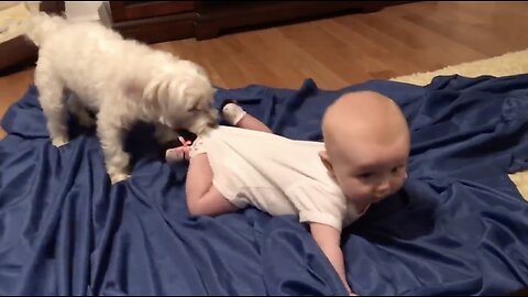 Cute Babies Playing With Dogs Compilation Funny Baby And Pets