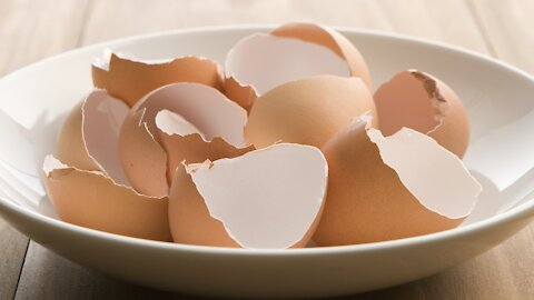 Why You Should Eat Your Eggshells, And How...