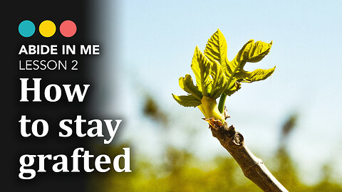 What makes a Christian? ABIDE IN ME: Grafted in God 3/6