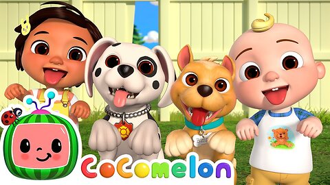 puppy play date|coComelon nursery rhyme
