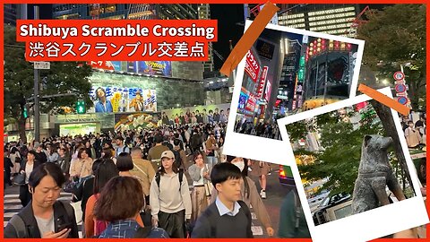 Shibuya Scramble Crossing 渋谷スクランブル交差点 - Busiest in the World - Tokyo Japan