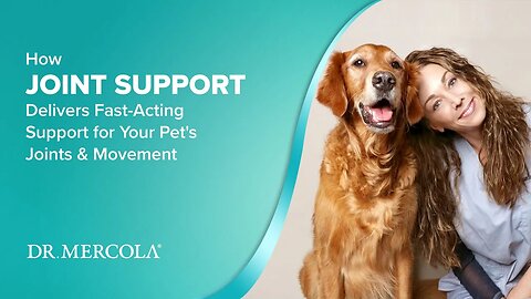 How JOINT SUPPORT Delivers Fast-Acting Support for Your Pet's Joints & Movement