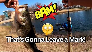 Trout Fishing Using Ultralight Baitcasting Gear Plus...!