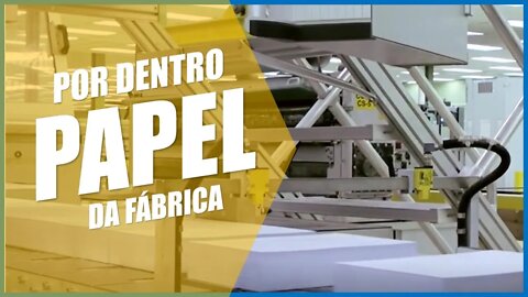 Como é Feito o Papel | Por Dentro da Fábrica 🧾