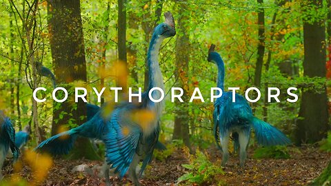 Corythoraptors - East Asia