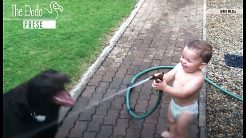 Cute Babies Laughing at Animals! This Will Make Your Day