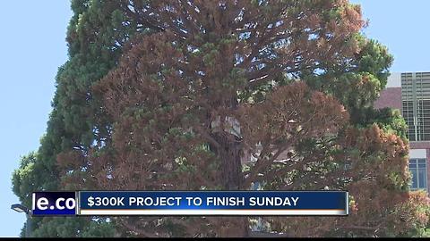 Boise's Giant Sequoia on the move Saturday night