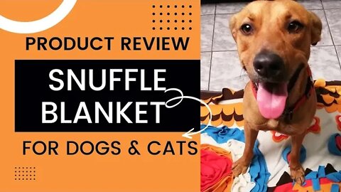 AMAZON PET PRODUCT REVIEW:SNUFFLE MAT FOR DOGS & CATS