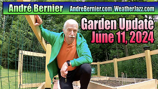 Andre's Garden Update - June 11, 2024