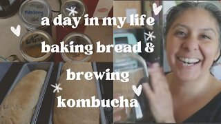 Day in my life - baking bread & brewing kombucha