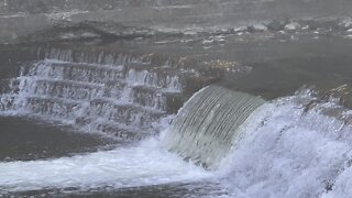 Salmon run Humber River 2022 edition