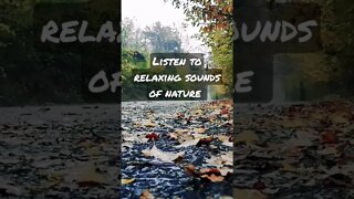 Relaxing Sounds