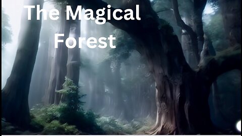 The Magical Forest