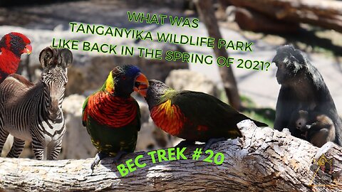 Back at the beginning! | Tanganyika Wildlife Park in the Spring of 2021! | BEC TREK Episode 20