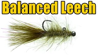 Balanced Leech Fly Tying - Stillwater Lake Streamer Fly Pattern