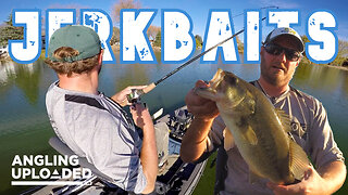 Suspending Jerkbaits for Fall Bass