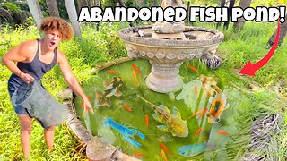 I Saved FISH From ABANDONED Fountain POOL!