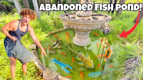 I Saved FISH From ABANDONED Fountain POOL!