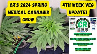 CR's 2024 Spring Growing Season - Tier 1 Tester plants 4th Week Veg Stage Update!!