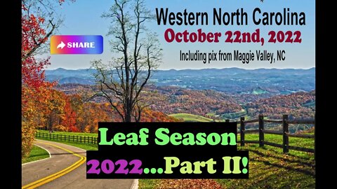 Leaf Season 2022 - Part II 😍🤩🥰