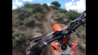 Bocco Mountain Riding Area CO Singletrack