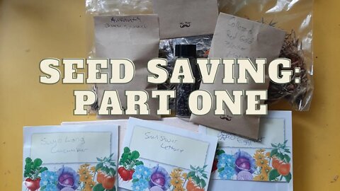 Seed Saving: Part 1