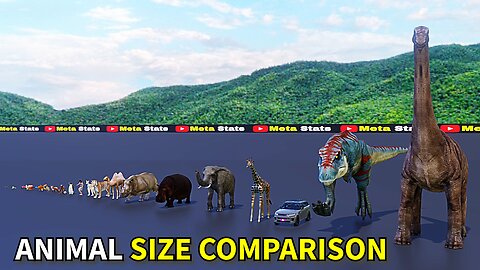 Animal Size Comparison. The tallest Animal in the World.
