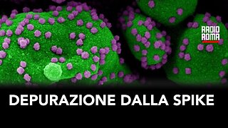 DEPURAZIONE DALLA SPIKE MICROSCOPIA MATERIALE ESOGENO (con Tiziano Talamazzi e Matteo Testa)