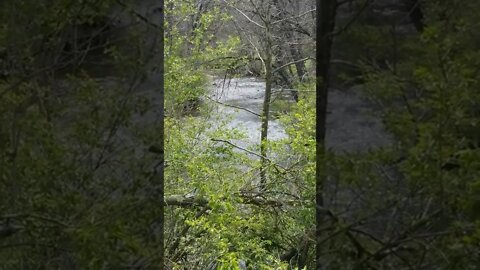 River in Sidney Ohio