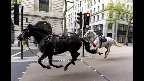 "Royal Hooves Unleashed: Chaos in London as Runaway Horses Leave 4 Injured"