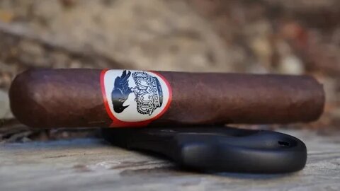 Team Review Recap: Stolen Throne Crook of the Crown Robusto