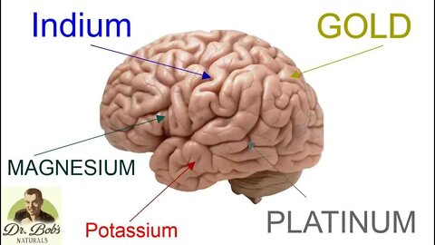 Minerals For Brain Health