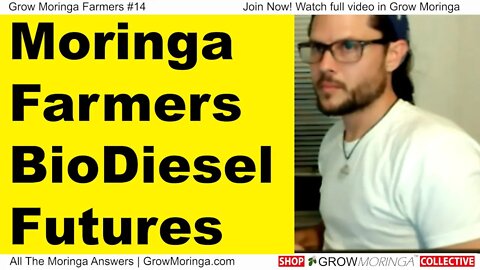 Moringa Seed Oil Makes Biodiesel Time to Invest as Stocks Boom