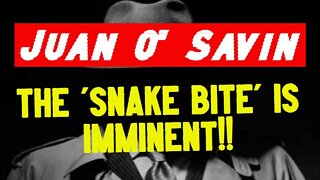 Juan O' Savin - The 'Snake Bite' Is Imminent!!!!!
