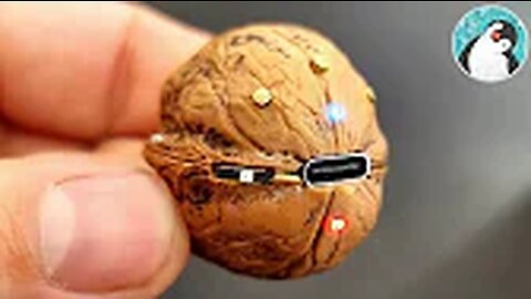 Amazing walnut speaker - DIY Bluetooth speaker by walnut(720P_HD)