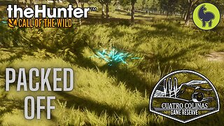 Packed Off, Cuatro Colinas | theHunter: Call of the Wild (PS5 4K)