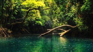 Soothing Music ~ Inner Peace ~ Sound Therapy For Reduce Stress & Anxiety ~ Relaxation Music