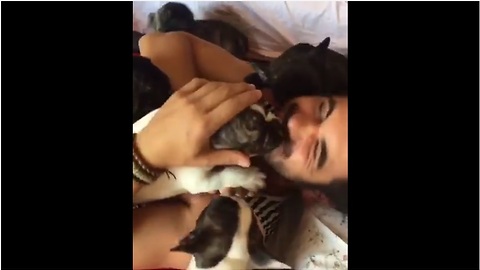 Human gets "attacked" by French Bulldog puppies