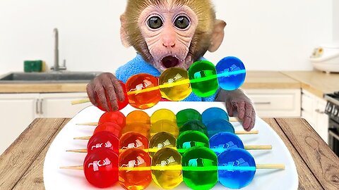 Baby monkey eats rainbow jelly with Bon Bon the dog and takes a bath with ducklings in the bathroom.