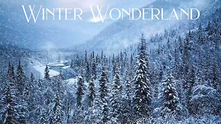 Winter Wonderland: Blizzard Sounds To Keep You Cozy, Blizzard, Blizzard Sounds #blizzard