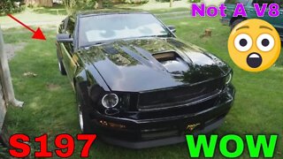 Fully Customized S197 Ford Mustang Grille One WICKED Ford MUSTANG Customized Inside & OUT